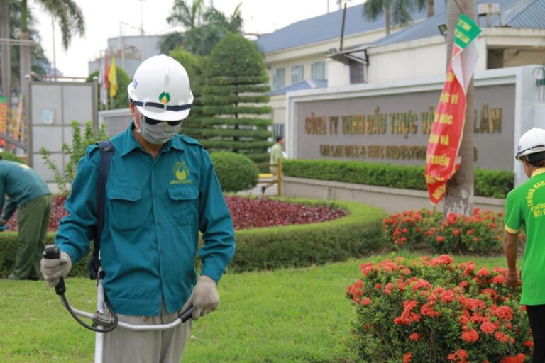 dịch vụ chăm sóc cây xanh tại Bình Dương