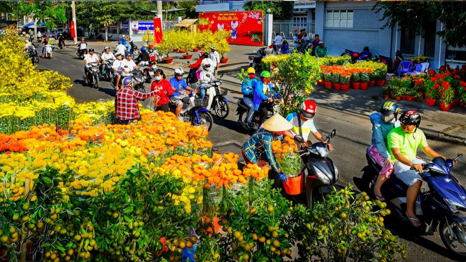 Bí Quyết Tham Quan Và Mua Hoa Tết Ở Bình Dương